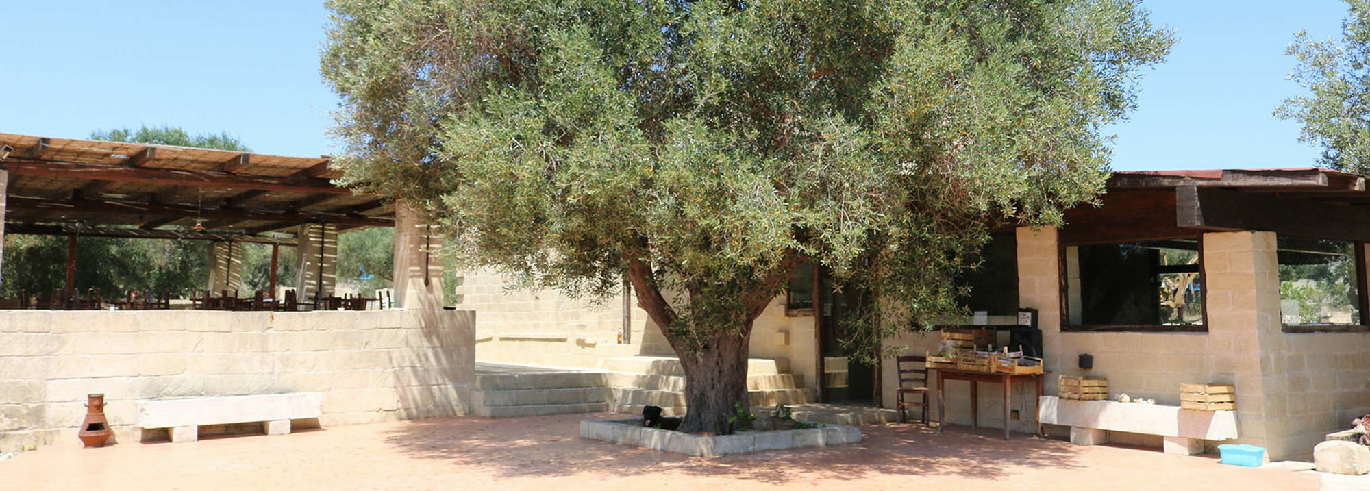 La Trottoria Agriturismo Otranto Dış mekan fotoğraf
